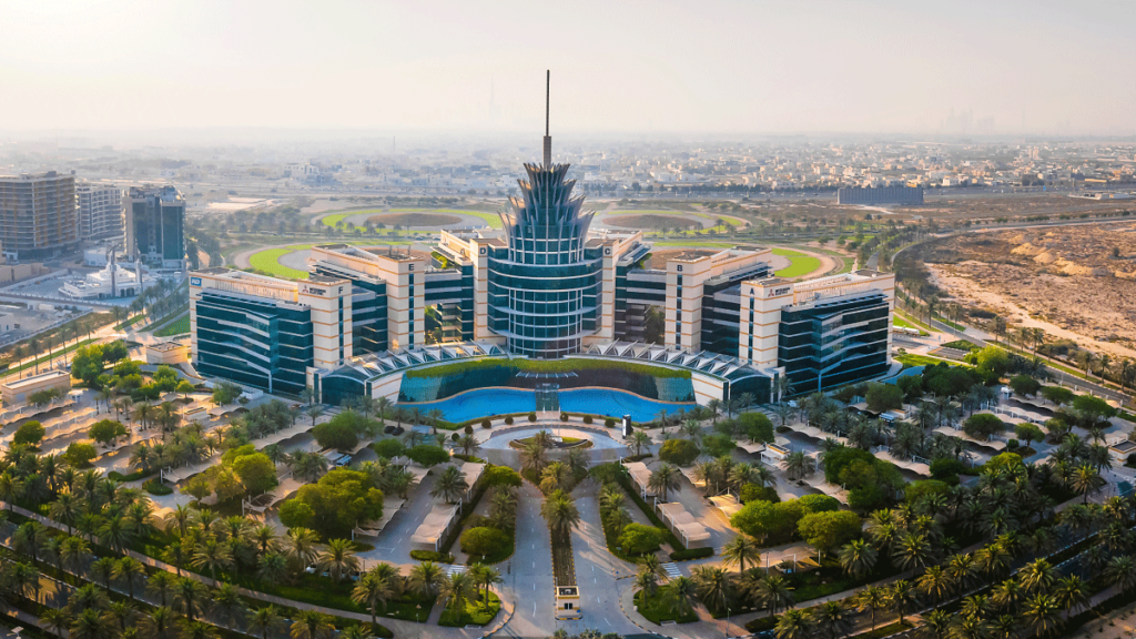 Dubai Silicon Oasis (DSO)